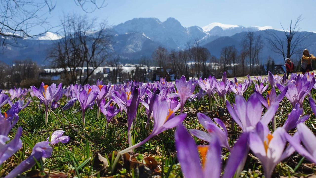 Pokoje Widokowe Szymaszkowa Zakopane Extérieur photo